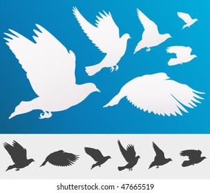 Graceful flying birds silhouettes for your design - isolated