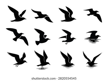 Graceful flying seagull bird silhouette vector set illustrations