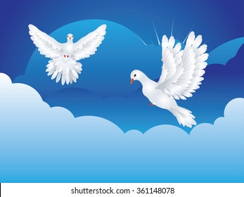 Graceful flying white pigeon, dove in the blue sky.
