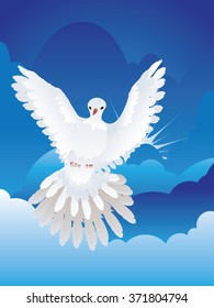 Graceful flying white pigeon, dove in the blue sky.