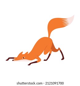 Graceful fox sneaks up to prey or freezes before jumping. Sophisticated fox with a beautiful fluffy tail is an excellent mascot or emblem