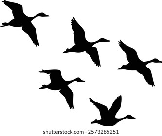 Graceful Geese Silhouettes Flying Together
