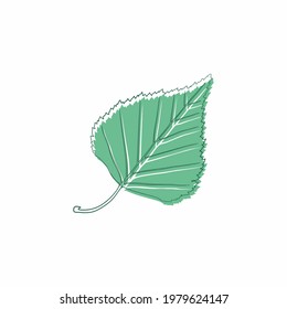 Graceful green leaf. Flat twig. Vector isolated element. Garden plant. Icon
