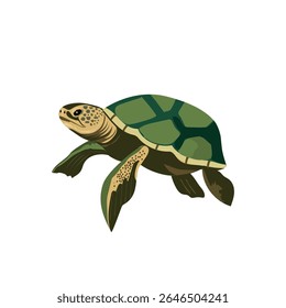 Graceful Green Sea Turtle Vector  Tortuga Marina JPG Marine Animal Illustration for Wildlife Designs, Detailed Shell and Ocean Life Colors