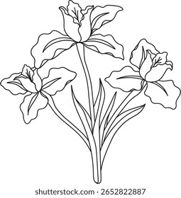Uma graciosa ilustração de arte desenhada à mão com três elegantes flores de íris com pétalas detalhadas, hastes delicadas e folhas finas