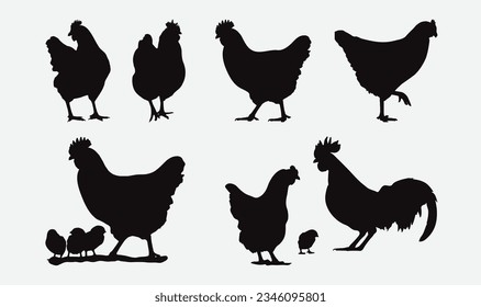 Graceful Hen Silhouettes Set, A Collection of Elegantly Detailed Poultry Bird Outline Illustrations for Various Creative Projects