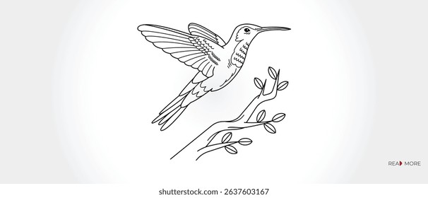 Graceful Hummingbird Line Art, drawing