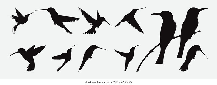 Graceful Hummingbird Silhouettes, A Captivating Collection of Avian Elegance in Flight