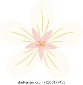 Desabrochar de marfim gracioso com pétalas longas e delicados detalhes de linha, perfeito para temas de jardim, convites e composições minimalistas orgânicas.