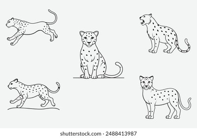 Graceful Leopard Line Art Vector Set - Detailed Wildlife Illustrations