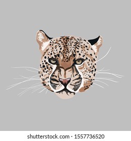 Graceful leopard Savana cat. Elegant poster, t-shirt composition element, hand drawn style print. 