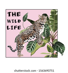 Graceful leopard and tropical leaves. Savana cat. Elegant poster, t-shirt composition, hand drawn style print.  Pink background.