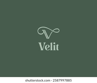 Graceful letter V logotype. Universal beauty salon boutique jewelry premium logo. Vector illustration.