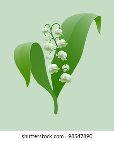 Graceful lily-of-the-valley isolated on light green background