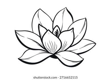 Graceful lotus flower drawing representing harmony and serenity