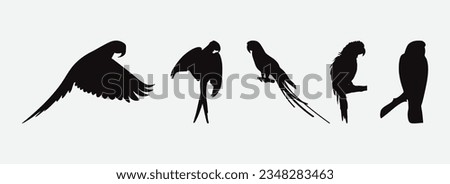 Graceful Macaw Bird Silhouettes, A Collection of Majestic Avian Forms for Your Creative Projects
