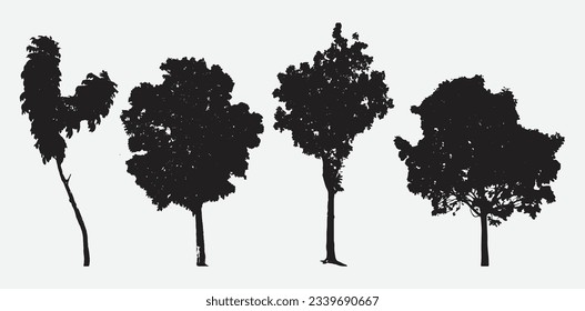 Graceful Majesty, Majestic Mahogany Tree Silhouettes for Your Artistic Creations