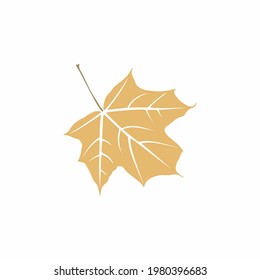 Graceful ochre leaf. Flat twig. Vector isolated element. Garden plant. Icon
