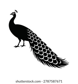 Graceful peacock silhouette with long trailing feathers vector design