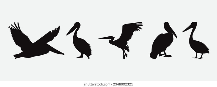Graceful Pelican Bird Silhouettes, A Collection of Majestic Avian Forms for Your Artistic Projects