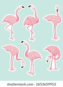 Flamingo rosa gracioso Posar coleção de vetor
