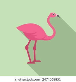 Graceful pink flamingo standing elegantly with long legs in a tropical and exotic wildlife nature setting. Isolated and wading in aquatic water. A stunning icon of avian fauna