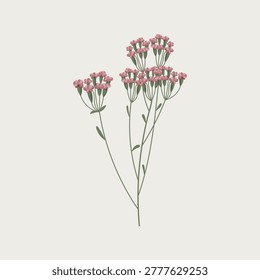 Graceful Pink Wildflower Branch Vector Art: Beautiful Hand-Drawn Botanical Illustration, Perfect for Wedding Stationery, Textile Prints, Nature Inspired Decor, and Spring Summer Designs