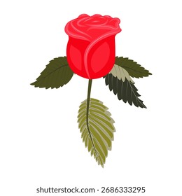 Uma graciosa cabeça de rosa vermelha com quatro pétalas na parte inferior. Ilustração vetorial em um fundo branco.