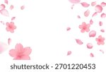 graceful Sakura flower background Soft pink cherry blossoms and delicate petals gently scatter on white space Ideal for spring themed banners romantic wedding designs or Japanese cultural