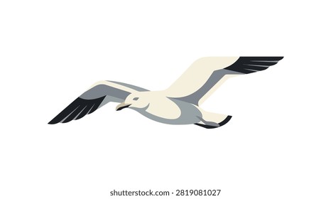 Graceful seagull flying in bright sky with white and gray feathers and black tips against a clear background ideal for nature and wildlife themes