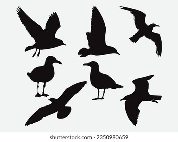 Graceful Seagull Silhouettes Set, Majestic Coastal Birds in Diverse Flying Poses and Resting Stances for Art and Design Projects