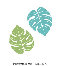Graceful sheet. Vector isolated element. White line logo on a blue background. Tropical garden plant.