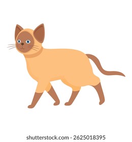 Graceful siamese cat walking with its sleek and elegant body