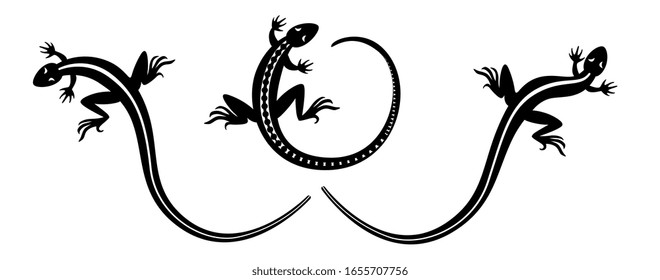 
graceful silhouette of a lizard curved into a ring and a wave