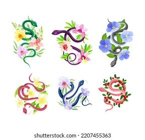 Graceful Snakes Coiled Around Beautiful Blooming Flowers Vector Set