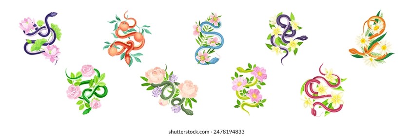 Graceful Snakes Coiled Around Beautiful Blooming Flower and Foliage Vector Set