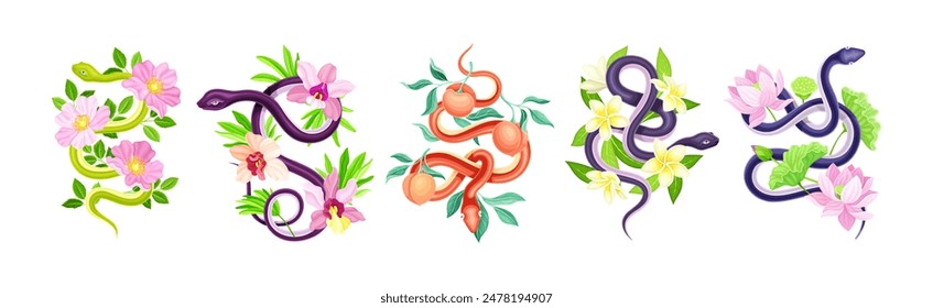 Graceful Snakes Coiled Around Beautiful Blooming Flower and Foliage Vector Set