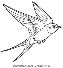 Graceful swallow bird in flight with spread wings