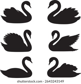 Conjunto de pássaros elegantes da coleção da silhueta do cisne gracioso