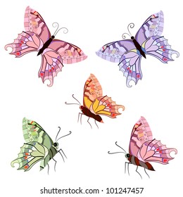 graceful tropical butterflies