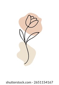 Graceful tulip bloom line art with pastel abstract forms

