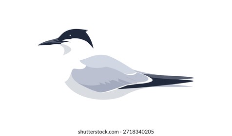 Una elegante Ilustración vectorial de un charrán, un tipo de ave marina, sentada pacíficamente, representada en tonos de gris y blanco sobre un fondo limpio.