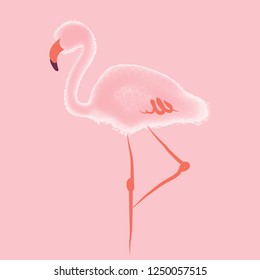 Graceful vector pink flamingo on a pink background.