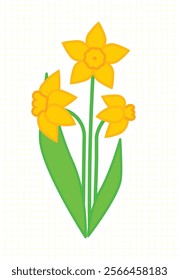 Graceful Vibrant 
narcissus Flower Illustration