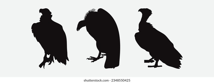 Graceful Vulture Silhouettes, A Collection of Majestic Avian Predators in Varied Poses and Gestures