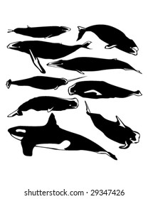 Graceful whales in vector silhouette with stylized illustration