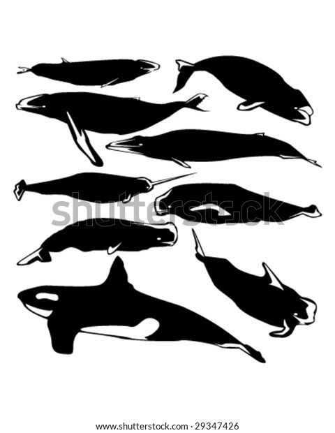 Graceful Whales Vector Silhouette Stylized Illustration Stock Vector ...