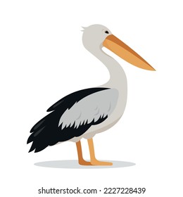 Graceful white pelican bird isolated on white background. Pelican icon. Birdwaching and Nature concept Vector flat or cartoon illustration.