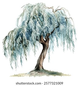 Graceful willow tree  illustration with cascading branches and lush green foliage. Perfect for nature-themed designs, art prints, and botanical projects.