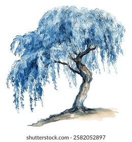 Graceful willow tree  illustration with cascading branches and lush green foliage. Perfect for nature-themed designs, art prints, and botanical projects.